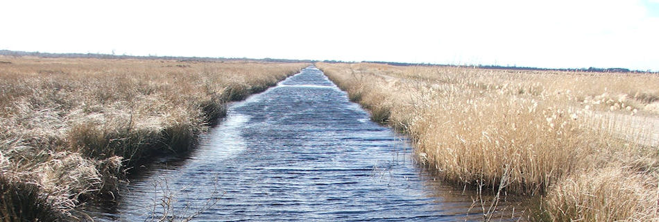 Thorne Moors