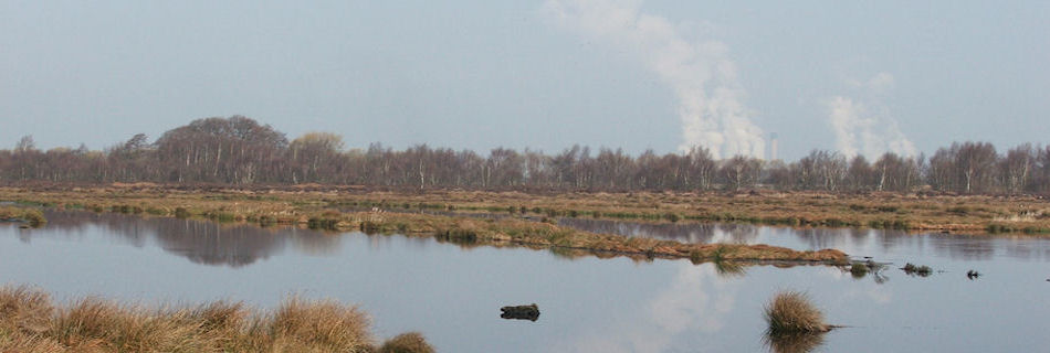 Thorne Moors