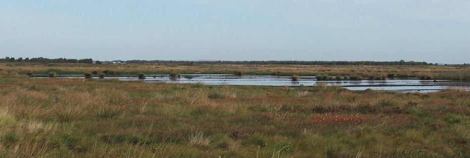 Thorne Moors